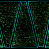 2022-8513142