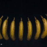 2015-8152845