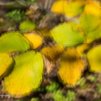 2021-850_8386