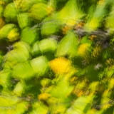2021-850_8620