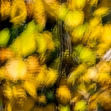 2021-850_8665
