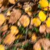 2021-850_8854