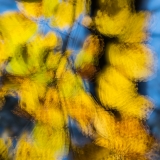 2021-850_8989