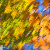 2021-850_7546
