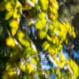 2021-850_7980