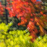 2021-850_8881