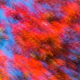 2021-850_8926