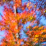 2021-850_8962