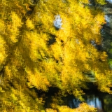 2021-850_9025