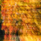 2021-850_9097