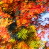 2021-850_9169