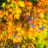 2021-DSC_7694