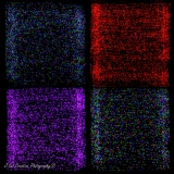 2022-1_8513335