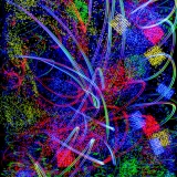 2022-1_8513763