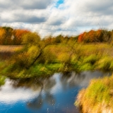 2015-8154464