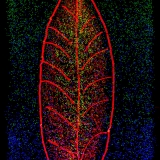 2022-8513707