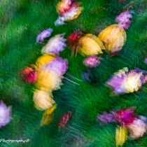 2019-8154319