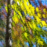 2019-850_3201