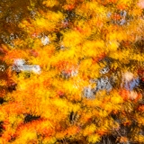 2019-850_3311