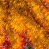 851_1565