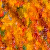 851_1569