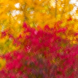 2019-850_3303