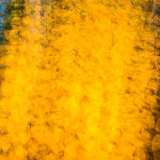 2017-8166527