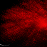 2015-7152679