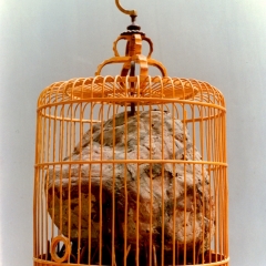 B11，Deposited Memory#1，Rock in Bamboo Cage，H65cm，1992