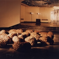 B17，Memory Space,  installation, 1994