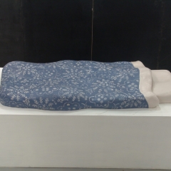 C18a, Sleeping without Mao, painting fiberglass, 240x120x20cm, 2006