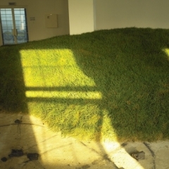 C19-Giant-man-Earth-and-Grass-L1500cm-2005